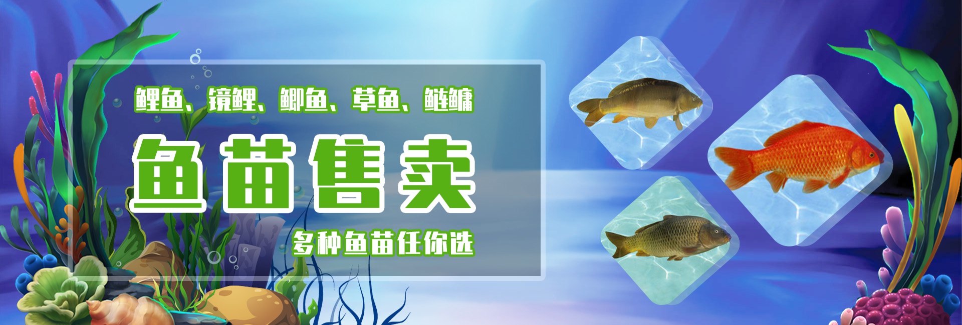 &#74;&#68;&#66;&#40;&#20013;&#22269;&#30005;&#23376;&#41;&#23448;&#26041;&#32593;&#31449;&#95;&#74;&#68;&#66;