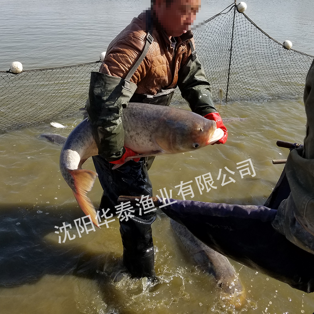 &#74;&#68;&#66;&#40;&#20013;&#22269;&#30005;&#23376;&#41;&#23448;&#26041;&#32593;&#31449;&#95;&#74;&#68;&#66;