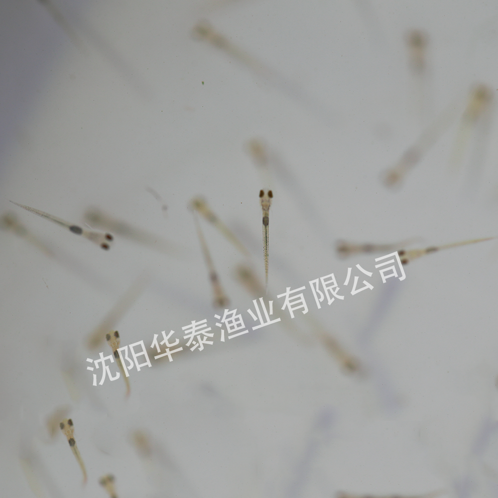 &#74;&#68;&#66;&#40;&#20013;&#22269;&#30005;&#23376;&#41;&#23448;&#26041;&#32593;&#31449;&#95;&#74;&#68;&#66;