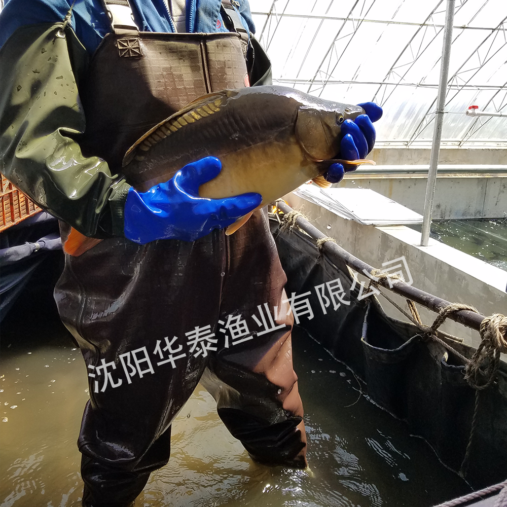 &#74;&#68;&#66;&#40;&#20013;&#22269;&#30005;&#23376;&#41;&#23448;&#26041;&#32593;&#31449;&#95;&#74;&#68;&#66;