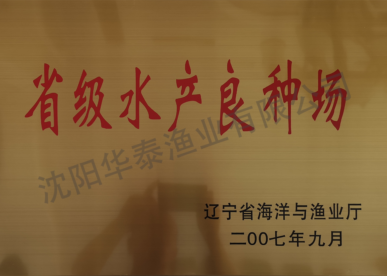 &#74;&#68;&#66;&#40;&#20013;&#22269;&#30005;&#23376;&#41;&#23448;&#26041;&#32593;&#31449;&#95;&#74;&#68;&#66;