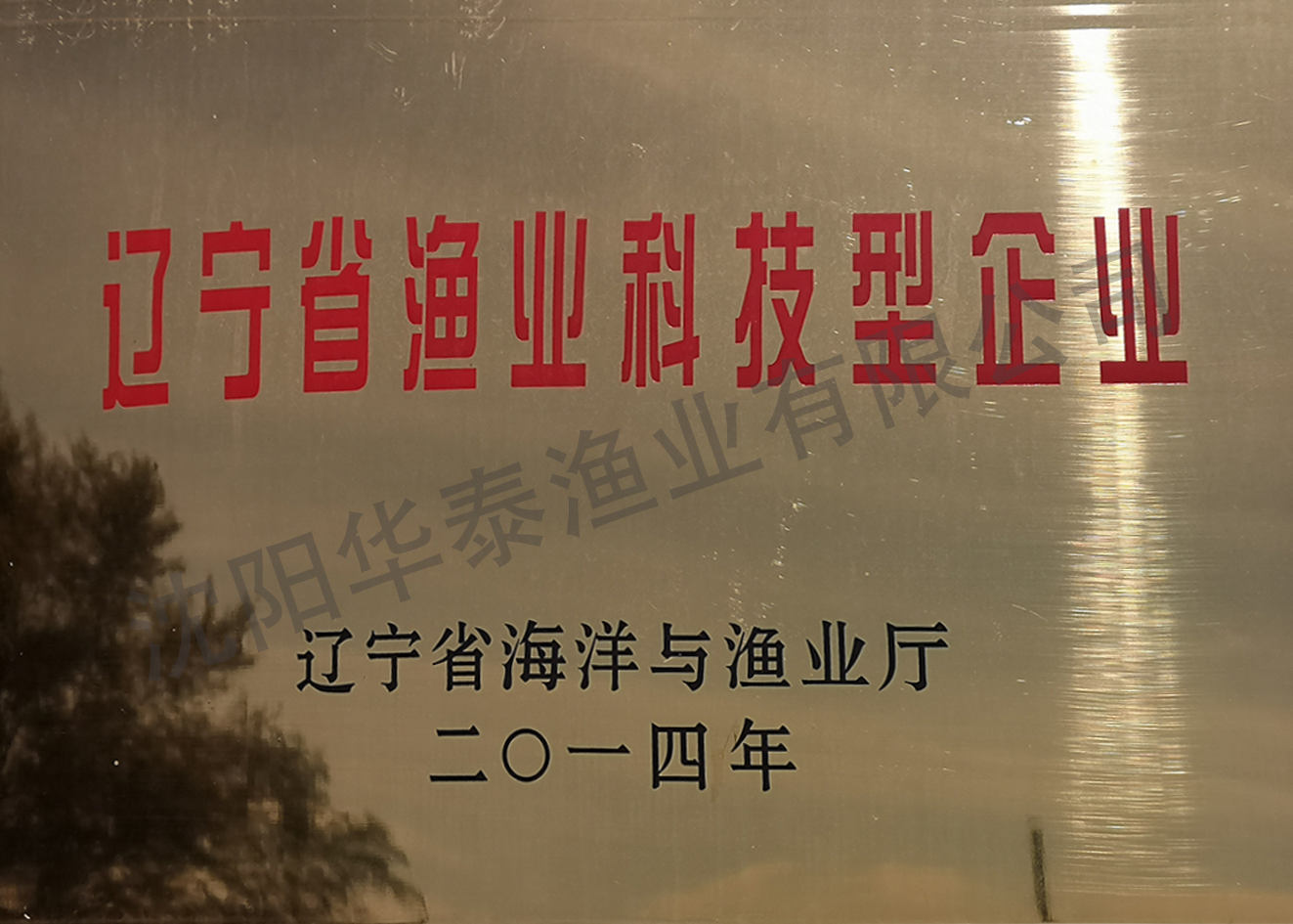 &#74;&#68;&#66;&#40;&#20013;&#22269;&#30005;&#23376;&#41;&#23448;&#26041;&#32593;&#31449;&#95;&#74;&#68;&#66;