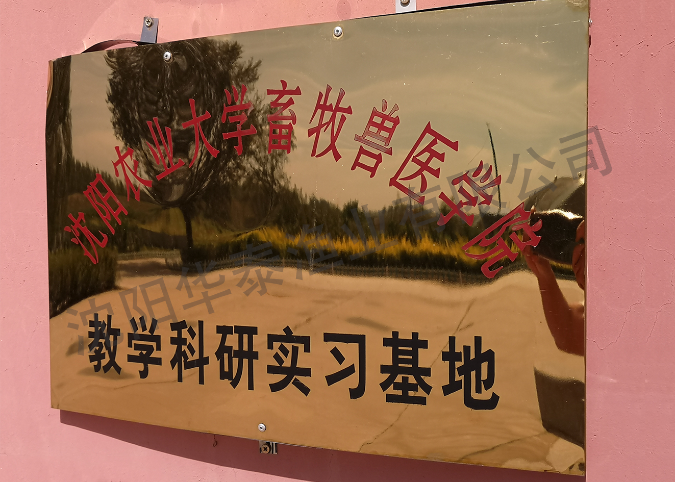 &#74;&#68;&#66;&#40;&#20013;&#22269;&#30005;&#23376;&#41;&#23448;&#26041;&#32593;&#31449;&#95;&#74;&#68;&#66;